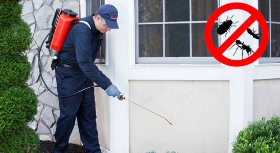 Burdur Gümüşkurt İlaçlama böcek ilaçlama ve haşere kontrolü — ilaclama-tr.com